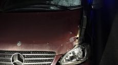 На Харьковщине трезвый водитель насмерть сбил пьяного пешехода (фото)