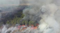 На ликвидацию последствий пожаров в Чернобыльской зоне выделено 144,9 млн грн