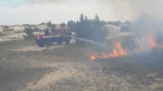 В ГСЧС рассказали подробности тушения пожара в Чернобыльской зоне