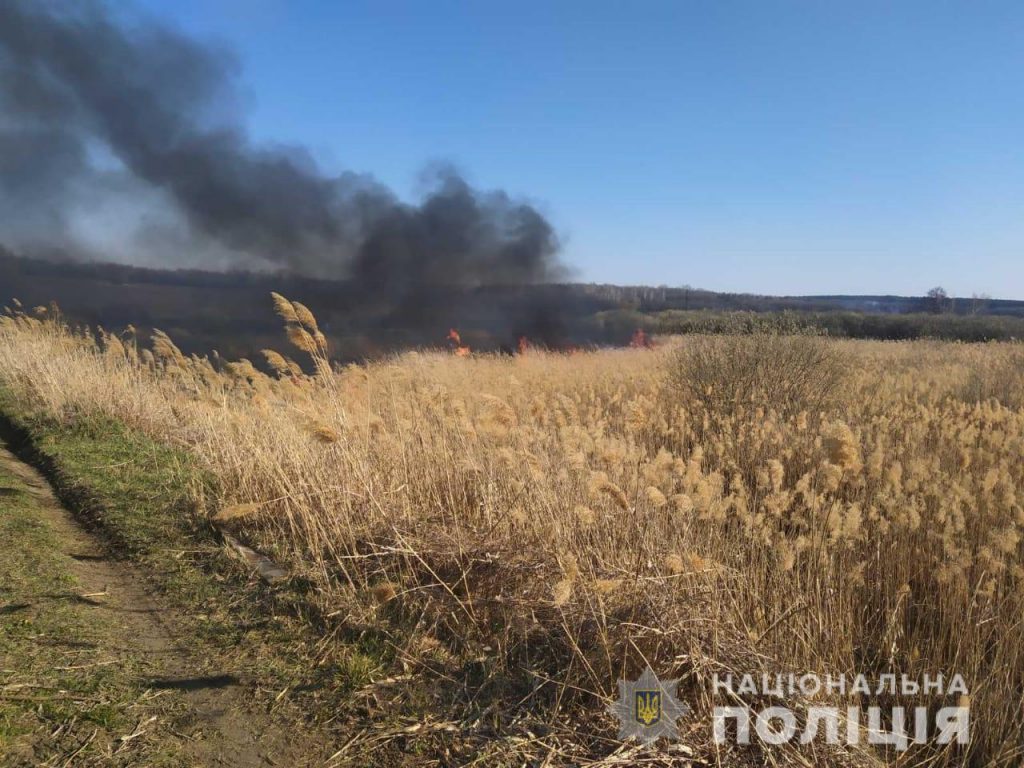 На Харьковщине открыты два уголовных дела по пожарам в экосистемах (фото)