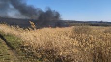 На Харьковщине открыты два уголовных дела по пожарам в экосистемах (фото)