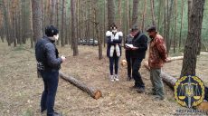 «Привезли на місце вирубки і дали в руки бензопилу»: як на Харківщині копи показники покращували (відео)