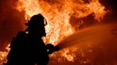 Украина в огне. Человек стал виновником 99% лесных пожаров (фото, видео)