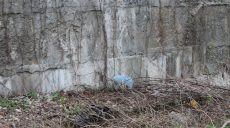 У центрі Харкова жінка покінчила з життям (фото)