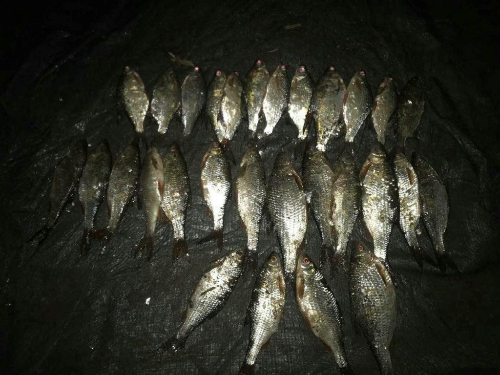 Рыбоохранный патруль Харьковщины успешно отлавливает браконьеров