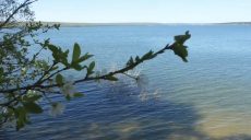 На Печенежском водохранилище штрафуют за несоблюдение нерестового запрета