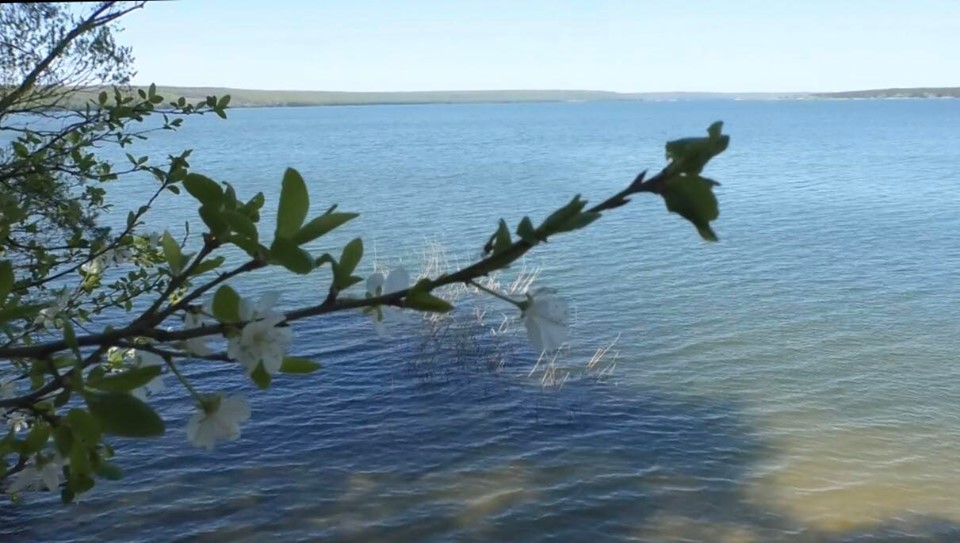 На Печенежском водохранилище штрафуют за несоблюдение нерестового запрета