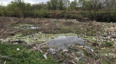 У річці Уди поблизу селища Жихар утворився острів із сміття (фоторепортаж, відео)