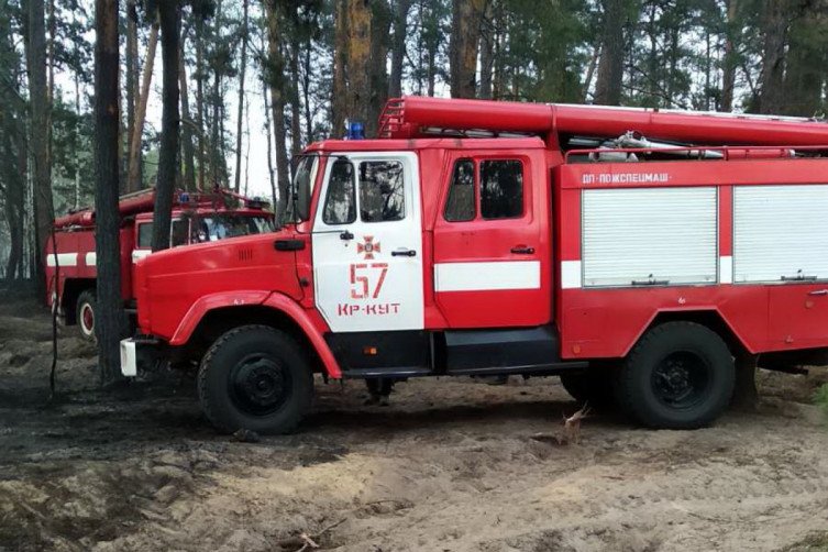 На Харьковщине горит лес (фото)