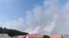 Сосник у Циркунах палав 8 годин, перш ніж його загасили