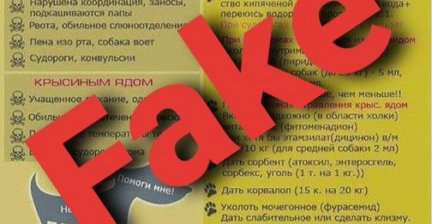 В Харьковском приюте для животных опровергли фейковую информацию