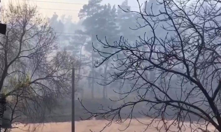 Пожар в Григоровском бору был потушен спасателями (фото)