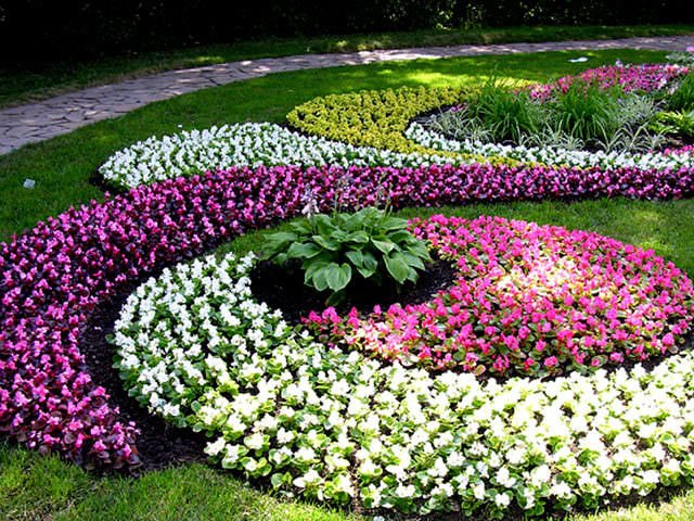 В саду Шевченко и около Мемориала Славы началась высадка цветов