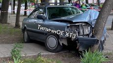 Через нетверезий стан водій врізався у дерево (відео, фото)