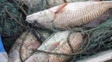 На рынках Харьковщины пресекают незаконную продажу рыбы