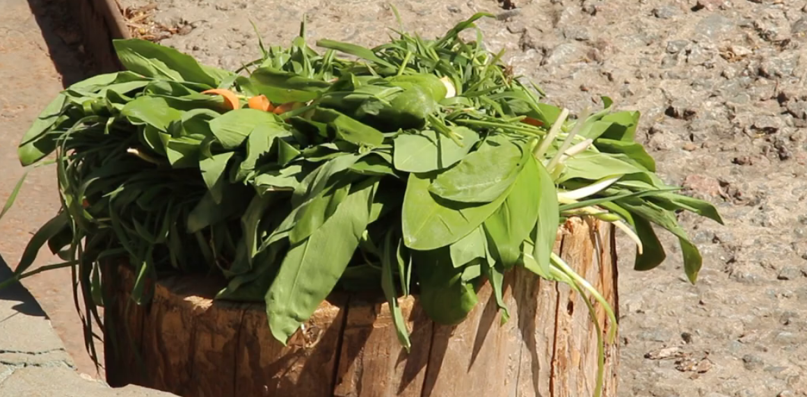 У Харківському зоопарку ведмедів пригостили черемшею, яку вилучили в браконьєрів (відео)