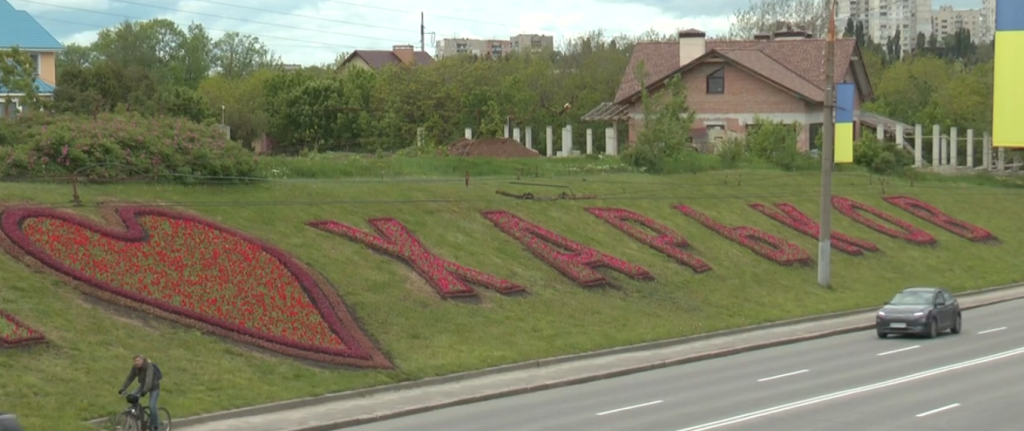 У Харкові на вулиці Дерев’янка з’явився 100-метровий квітник (відео)