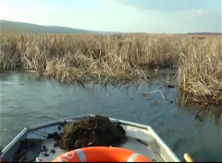 На Печенежском водохранилище браконьер выловил сетями 45 кг рыбы