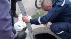 На Харьковщине пьяную женщину достали из водопроводного коллектора (фото)