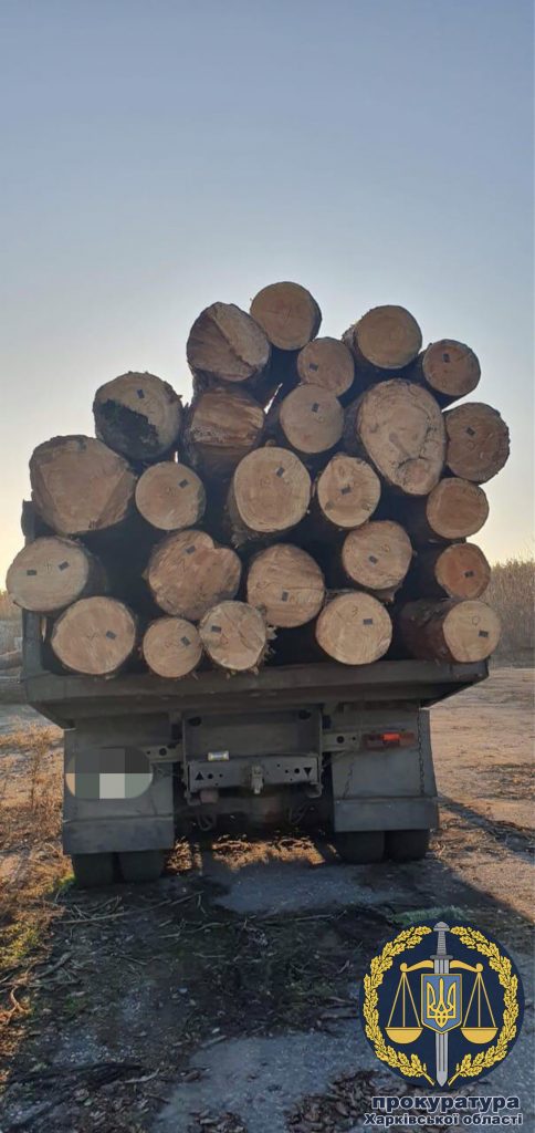 На Харьковщине будут судить лесничего, который незаконно продавал древесину