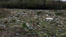 Харьковский губернатор инициировал очистку от мусора реки Уды и проверку воды у пляжей