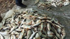 На Харьковщине браконьеры выловили рыбы почти на 170 тысяч гривен