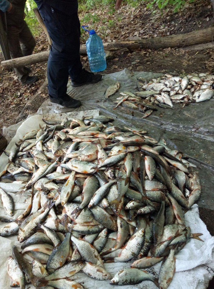 На Харьковщине браконьеры выловили рыбы почти на 170 тысяч гривен