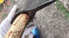 Изюмчанин, который зарубил топором двух человек, арестован без права выхода под залог