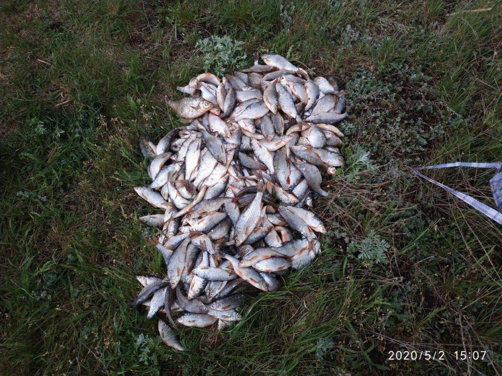 На Харьковщине браконьеры нанесли ущерб рыбному хозяйству почти на 80 тысяч гривен (видео)