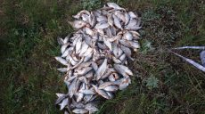 На Харьковщине браконьеры нанесли ущерб рыбному хозяйству почти на 80 тысяч гривен (видео)