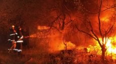 В Харьковской области выгорело 3 га растительности (фото)