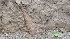 На Харьковщине на частном дворе нашли мину (фото)