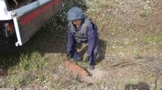 В Харьковской области взорвали мины и гранаты (фото)
