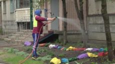 Придомовые территории в Индустриальном районе станут ярче и зеленее