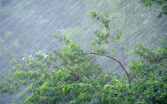 У Харкові очікують на погіршення погоди до кінця тижня