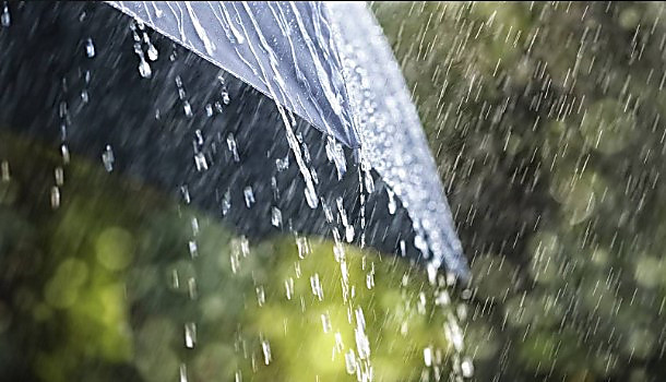 Синоптики прогнозируют еще одну дождливую неделю на Харьковщине