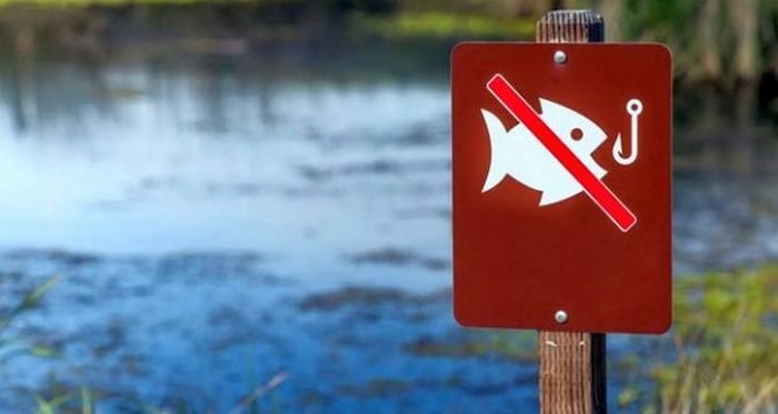 Об ограничениях с 1 апреля предупредили рыбаков на Харьковщине: подробности