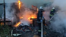У Панютино рятувальники 3,5 години гасили полум’я (фото)