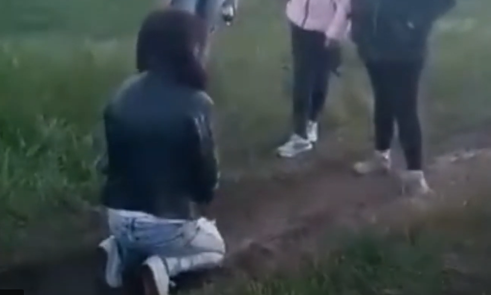 Побиття дівчини в селі Феськи: двом особам оголошено про підозру