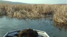 На Харьковщине зафиксированы очередные случаи браконьерства