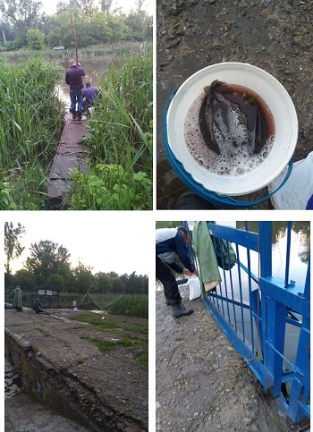 Рыбоохранный патруль Харьковщины оштрафовал четырех рыбаков за ловлю рыбы сетями (фото)