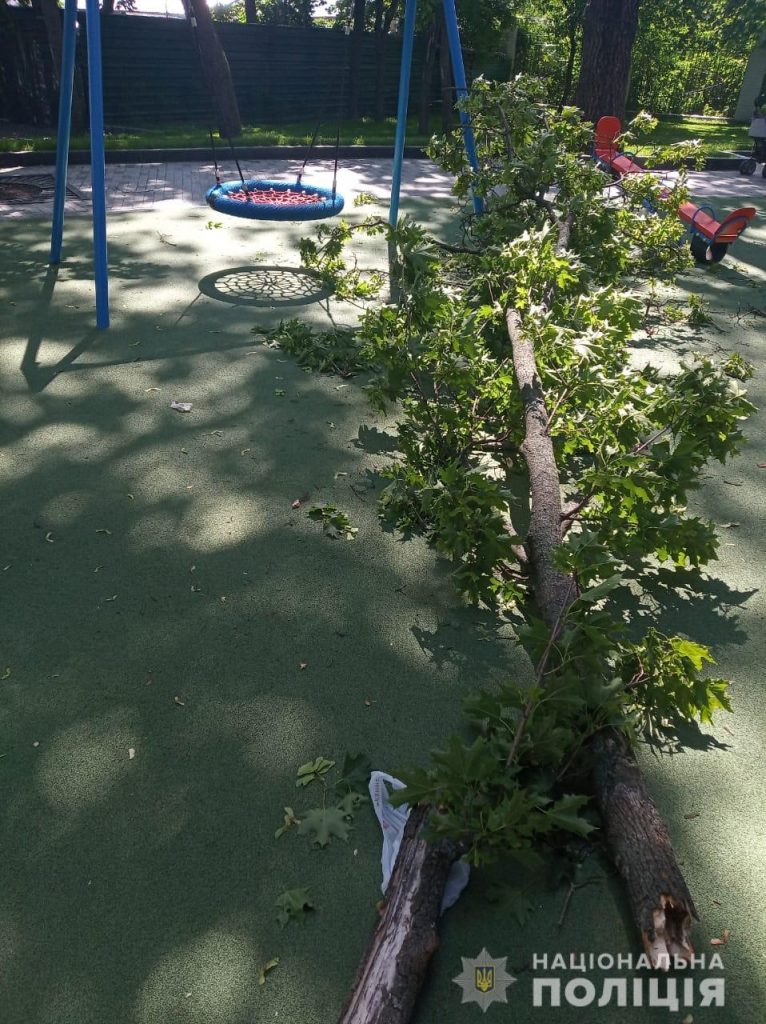 На 10-летнюю девочку упала ветка в парке Шевченко