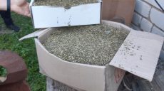 Мужчина на Харьковщине продал 200 грамм каннабиса за 5 тыс. гривен (фото)