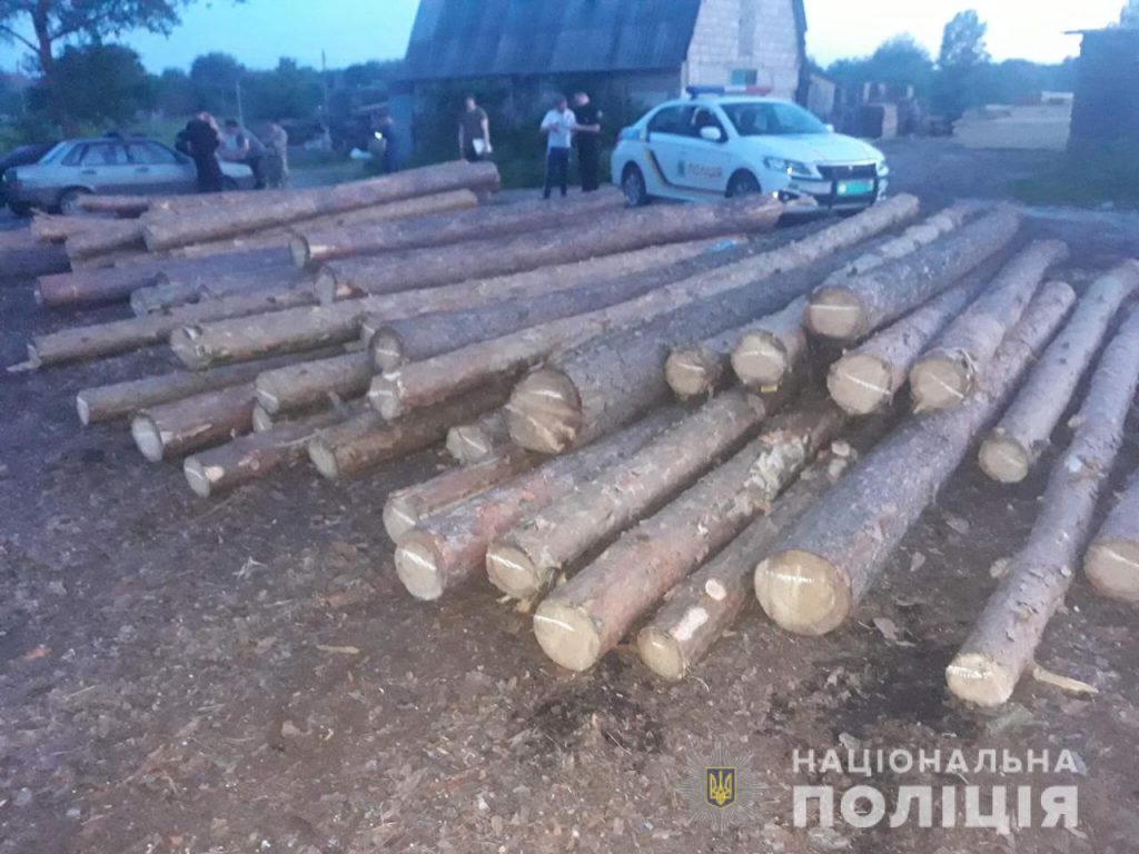 Два «черных лесоруба» вырубили на Харьковщине деревьев на 120 тыс. грн