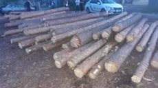 Два «черных лесоруба» вырубили на Харьковщине деревьев на 120 тыс. грн