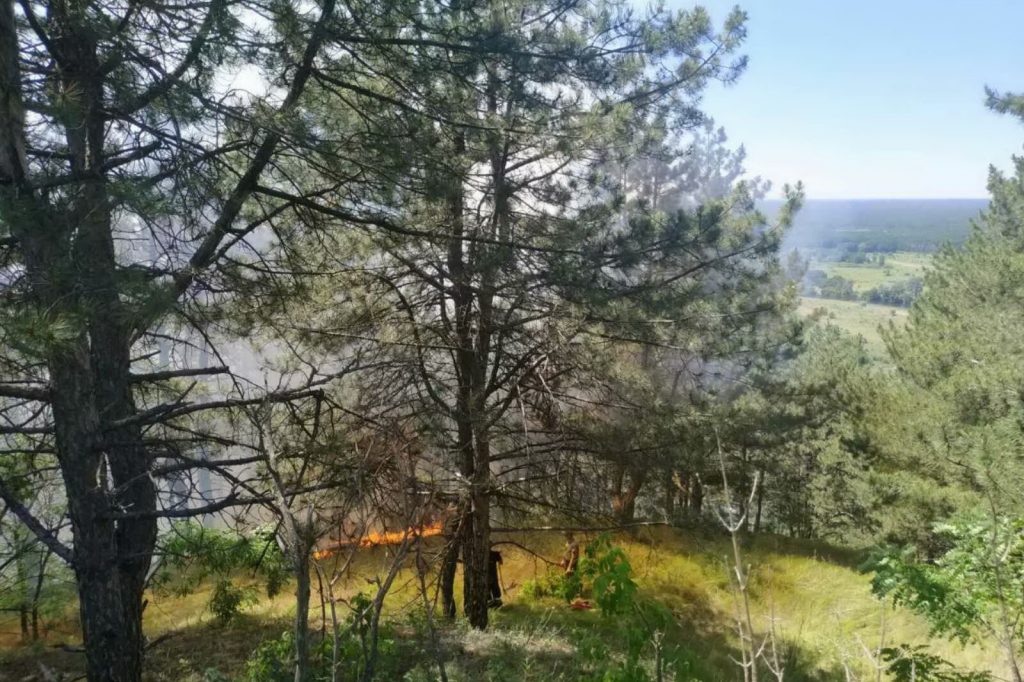 Спасатели ликвидировали лесной пожар на Харьковщине (фото)