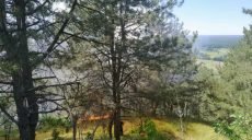 Спасатели ликвидировали лесной пожар на Харьковщине (фото)