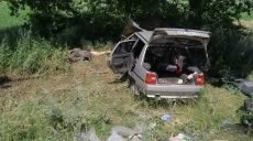 На Харьковщине спасателям пришлось деблокировать из авто пострадавших граждан (фото)