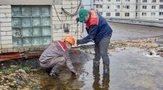 Харьковчан просят не бросать мусор в канализацию