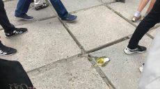 Прихильників ГО «Потон» закидали яйцями